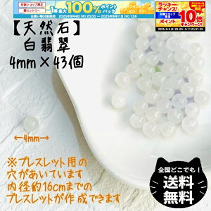yP10{m聦Gg[K{zVR Ő 4mm 43  Zbg zCgqXC p[Xg[  fB[X LbY Y ܂ nhCh uXbg  ^   l