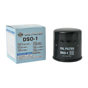 (10Zbg) DSO-1 ICtB^[yg^E_CncEXYLz 15601-B2010 FESCO