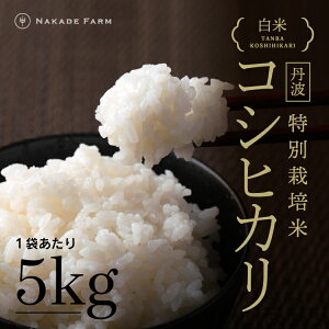 yʍ͔|āzߘa7NY Og RVqJ  5kg Og ȂŔ_ NakadeFarm     Ђ  Pꌴ 5L