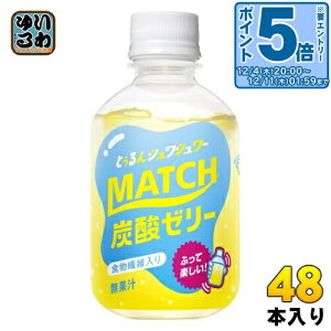 kGg[Ń|Cg5{Il ːHi }b`[[ 260g ybg{g 48{ (24{×2 ܂Ƃߔ) Y_ [[