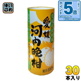 〔エントリーでポイント10倍！〕 愛工房 河内晩柑 125ml カート缶 30本入