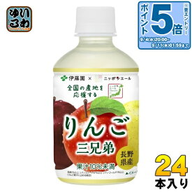 〔エントリーでポイント10倍！〕 伊藤園 ニッポンエール 長野県産りんご 280g ペットボトル 24本入 果汁飲料 リンゴジュース