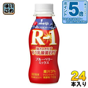 kGg[Ń|Cg5{Il  R-1 vrI[Og hN^Cv u[x[~bNX 112g ybg{g 24{ _ۈ R-1 _ EPS ① u[x[