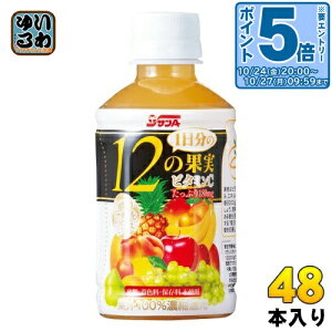 〔エントリーでポイント5倍!〕 サンA 1日分の12の果実 240ml ペットボトル 48本 (24本入×2 まとめ買い) 果汁飲料
