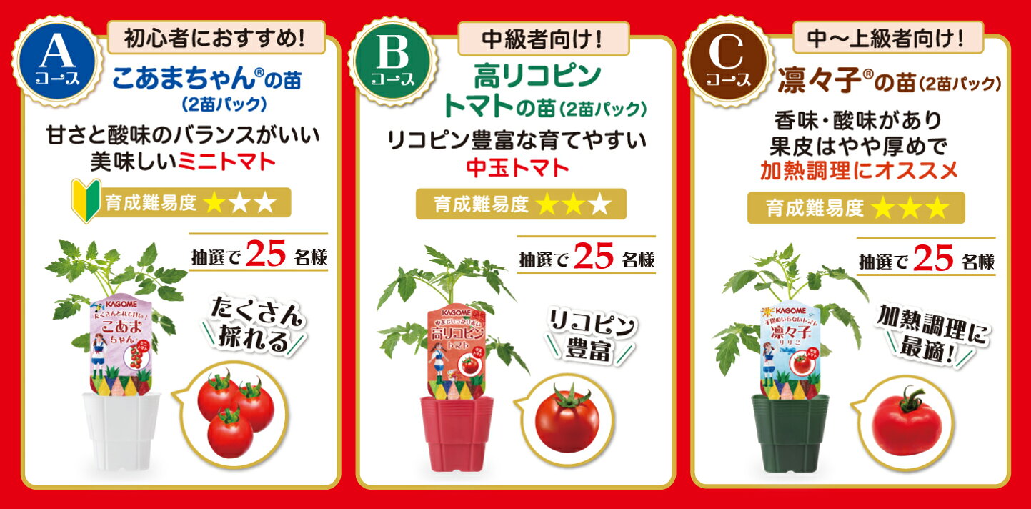楽天市場 | いわゆるソフトドリンクのお店 - カゴメ トマトの苗 