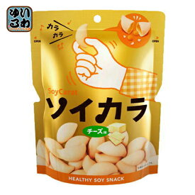 大塚製薬 ソイカラ チーズ味 27g 18袋入 〔栄養食品 ノンフライ ヘルシー 大豆スナック SoyCarat　お菓子　バランス栄養食　KARAがCM〕