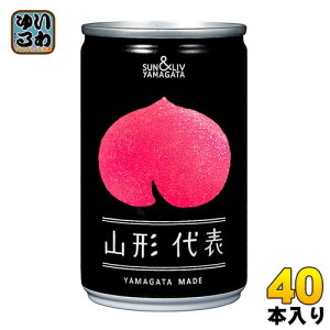 R`Hi R`\  160g  40{ (20{×2 ܂Ƃߔ) kʏ`l