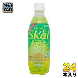南日本酪農 スコール メロン 500ml ペットボトル 24本入 炭酸飲料 めろん 数量限定