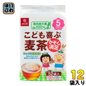 ͂΂ ǂԔ 416g(8g×52) 12ܓ kl