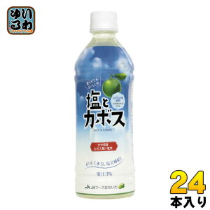JAt[Y ƃJ{X 495ml ybg{g 24{ MǑ΍