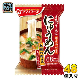 アマノフーズ フリーズドライ にゅうめん 五種の野菜 あっさり味噌味 18.5g 48個入