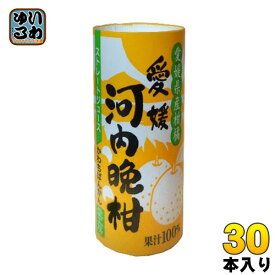 愛工房 河内晩柑 125ml カート缶 30本入