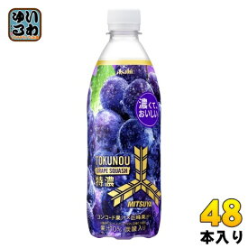 アサヒ 三ツ矢 特濃 グレープスカッシュ 500ml ペットボトル 48本 (24本入×2 まとめ買い) 〔炭酸飲料〕