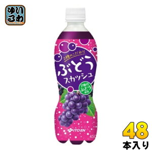 ɓ 2̂ԂǂXJbV 450ml ybg{g 48{ (24{×2 ܂Ƃߔ) Y_ Ԃǂ