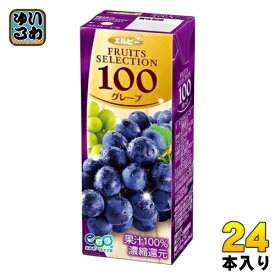 エルビー フルーツセレクション グレープ100 200ml 紙パック 24本入 ぶどうジュース