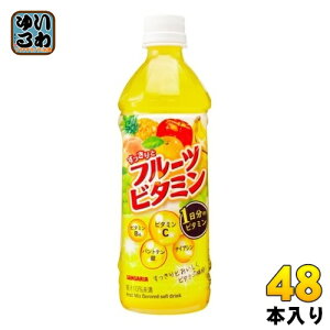 TKA ƃt[cr^~ 500ml ybg{g 48{ (24{×2 ܂Ƃߔ)