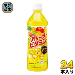 TKA ƃt[cr^~ 500ml ybg{g 24{