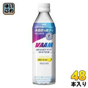  VAAM @[ X}[gtBbgEH[^[ 郌 500ml ybg{g 48{ (24{×2 ܂Ƃߔ) X|[chN MǑ΍ یpHi