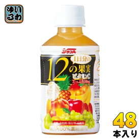 サンA 1日分の12の果実 240ml ペットボトル 48本 (24本入×2 まとめ買い) 果汁飲料