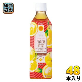 サンA 日向夏紅茶 500ml ペットボトル 48本 (24本入×2 まとめ買い) 紅茶飲料