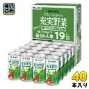 伊藤園 充実野菜 緑の野菜ミックス 190g 缶 40本 (20本入×2 まとめ買い) 野菜ジュース 果実飲料