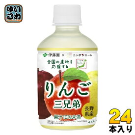 伊藤園 ニッポンエール 長野県産りんご 280g ペットボトル 24本入 果汁飲料 リンゴジュース
