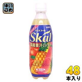 南日本酪農 スコール国産果汁ミックス 500ml ペットボトル 48本 (24本入×2 まとめ買い) 乳性炭酸 炭酸飲料 数量限定