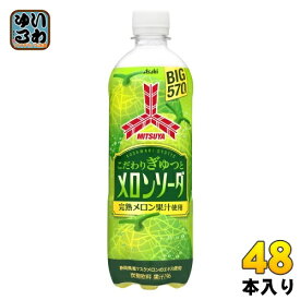 アサヒ 三ツ矢 こだわりぎゅっとメロンソーダ 570ml ペットボトル 48本 (24本入×2 まとめ買い) 炭酸飲料 メロン