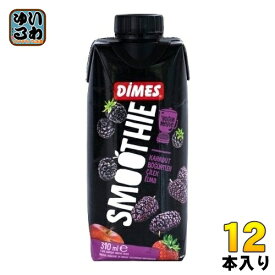 日本珈琲貿易 ディメス パープルフルーツ ミックス スムージー 310ml 紙パック 12本入 DIMES 果汁飲料 フルーツミックス