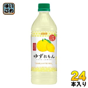 _Ch[ aʂ 䂸 500ml ybg{g 24{ ʏ`