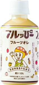 yR:ܖؔ̂߁zyFܖ(2026/03/18)zTA tҁ[ t[cI 240ml ybg{g 24{  t[cuhk󂠂  Bi ؂i  