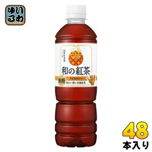 ATq a̍g ACXeB[ 500ml ybg{g 48{ (24{×2 ܂Ƃߔ) g Xg[geB[ mVK[