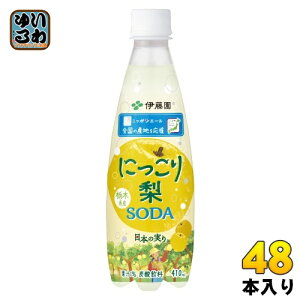 ɓ jb|G[ Ȗ،Y ɂ藜\[_ 410ml ybg{g 48{ (24{×2 ܂Ƃߔ) Y_ Ȃ\[_
