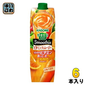JS ؐ100 X[W[ r^~X[W[ 1000g pbN 6{ ؃W[X r^~ Smoothie