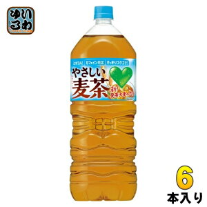 Tg[ GREEN DAEKAERA O[_J ₳ 2L ybg{g 6{  ނ JtFC[ ~l