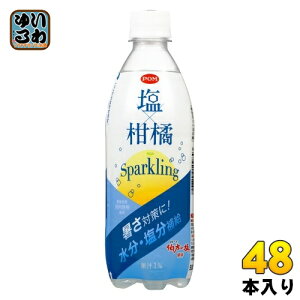 Ђ߈ POM | ×kXp[NO 500ml ybg{g 48{ (24{×2 ܂Ƃߔ) Y_ MǑ΍ Ԍ Gߌ Sparkling