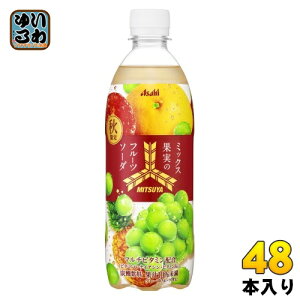 ATq Oc ~bNXʎ̃t[c\[_ 500ml ybg{g 48{ (24{×2 ܂Ƃߔ) Y_ H Gߌ Ԍ