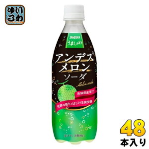 TKA ܂ AfX\[_ 500ml ybg{g 48{ (24{×2 ܂Ƃߔ) Y_ Ԍ
