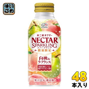 ɓ sƃlN^[ Xp[NO &EtX 380ml {g 48{ (24{×2 ܂Ƃߔ) Y_ ʏ` NECTAR  Ԍ