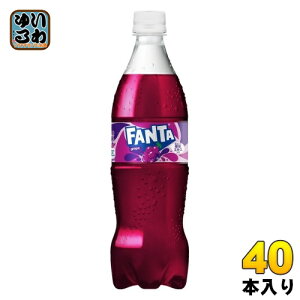 RJER[ t@^ O[v 700ml ybg{g 40{ (20{×2 ܂Ƃߔ) Y_ ʏ`Y_ RJR[