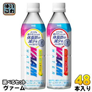 ���� ���@�[���E�H�[�^�[ 500ml �y�b�g�{�g�� �I�ׂ� 48�{ (24�{×2) ����ی��p�H�i VAAM �J�����[�[�� �g�N�z ���� �I���� �M���Ǒ΍� �����⋋