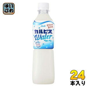 ATq JsX JsXEH[^[ 500ml ybg{g 24{ _ۈ  JsX