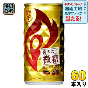 L FIREt@CA ҂Ĕ 185g  60{ (30{×2 ܂Ƃߔ) R[q[