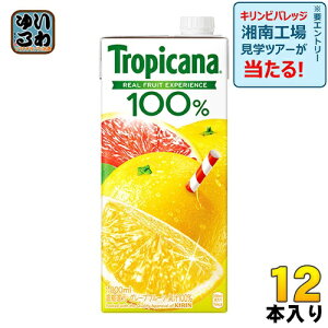 L gsJ[i100% O[vt[c 1L pbN 12{ (6{×2܂Ƃߔ) kʏ`l