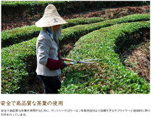 楽天市場 サントリー 烏龍茶 525ml ペットボトル 24本入 お茶 いわゆるソフトドリンクのお店