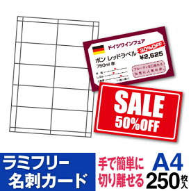 【送料無料】 ラミフリー 名刺カード 10面 A4 250シート レーザープリンター専用 名刺用紙 名刺 プライスカード POP 販促POP 店頭POP アイキャッチ ラミネート パウチ ラミネート紙 ラミネート用紙 ラミネート不要 中川製作所