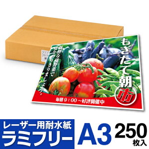 yz ϐ ~t[ A3 250 [U[v^[p vCXJ[h POP j[ ~l[g pE` ~l[g ~l[gp ~l[gsv 쐻쏊