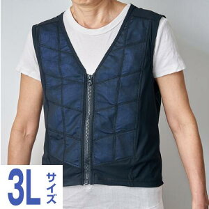 U CMpxXgwN[KCGo| 3L xʋCQI܂łĝׂƂȂIt@tƒ̃Ci[ƂėʔQII COOOL GUYY EVAPO