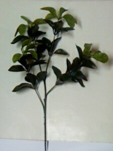 ԁ@VLr @݁@VL~S58cmt60