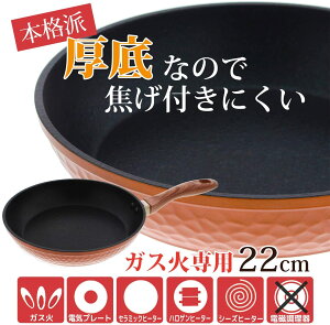 Ɩڒb@tCp@22cm@JƖځ@KXΐp@tCp@uE